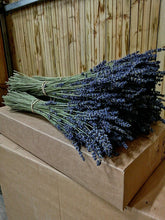Load image into Gallery viewer, Bunch of dried lavender
