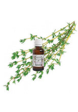 Load image into Gallery viewer, Organic thyme essential oil with linalool from Provence